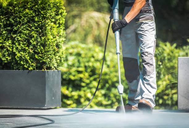 Best Driveway Pressure Washing  in Bessemer, AL